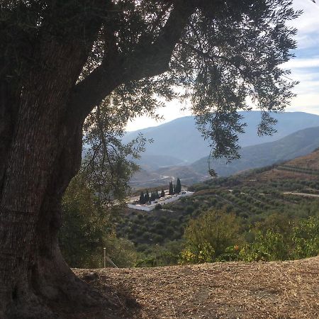 Jardin Andaluz Appart Alhambra Pinos del Valle Bagian luar foto
