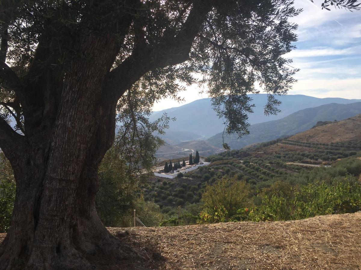 Jardin Andaluz Appart Alhambra Pinos del Valle Bagian luar foto